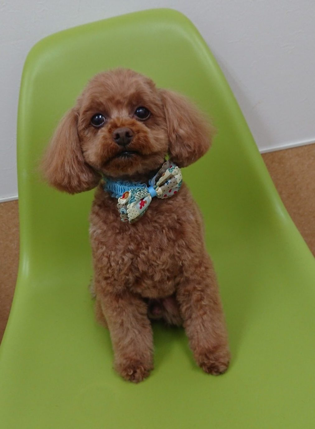 院内風景